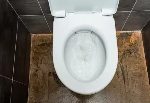 Desentupidora de Vaso Sanitário Urgente em Várzea Paulista